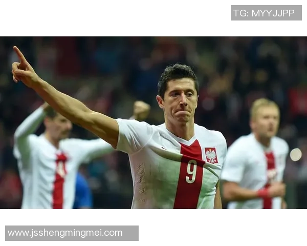 北爱尔兰与挪威比赛水位分析及投注建议探讨