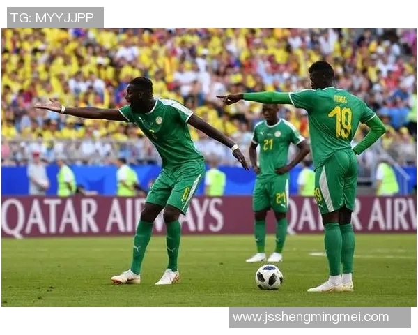 哥伦比亚与卡塔尔的精彩对决分析与赛前预测