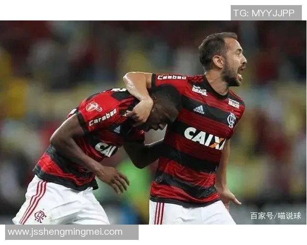 弗拉门戈与戈亚斯对决分析及比赛前瞻策略探讨