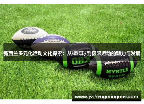 新西兰多元化运动文化探索：从橄榄球到极限运动的魅力与发展
